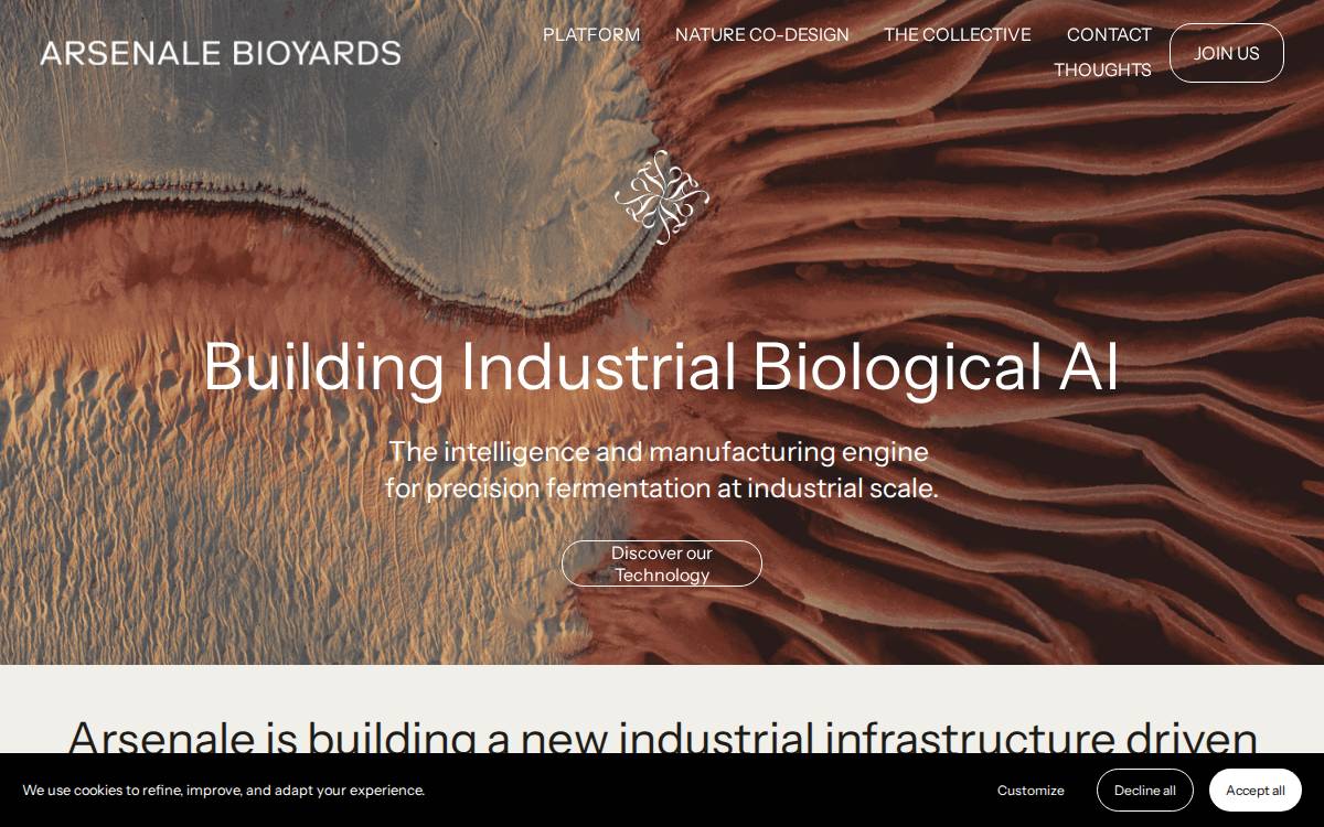 Arsenale website preview