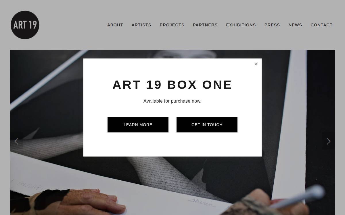 Art 19 website preview