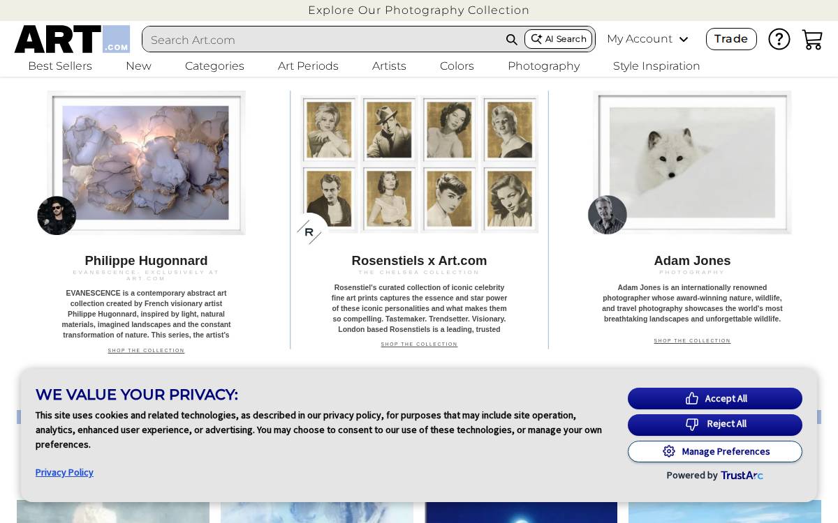 Art website preview