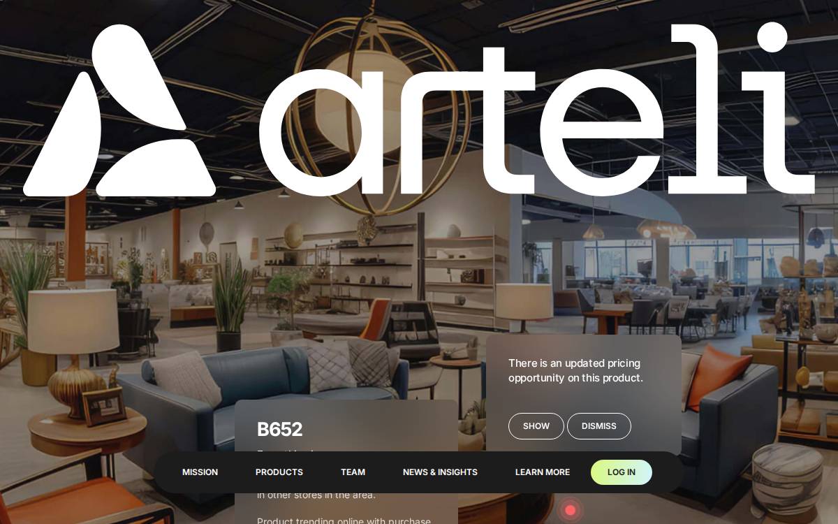 Arteli website preview