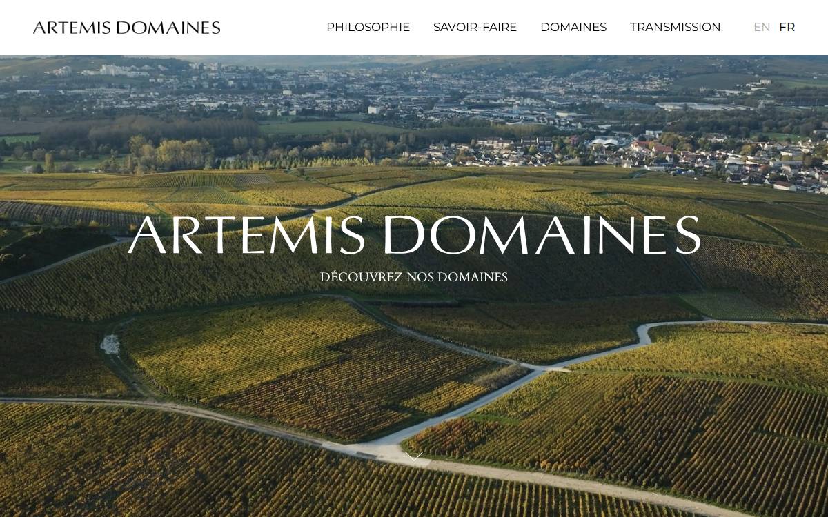 Artemis Domaines website preview