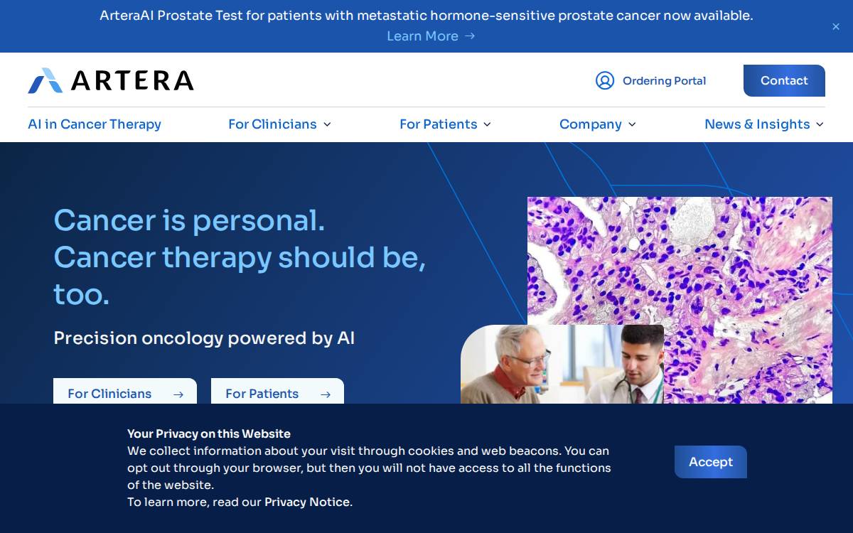 Artera website preview