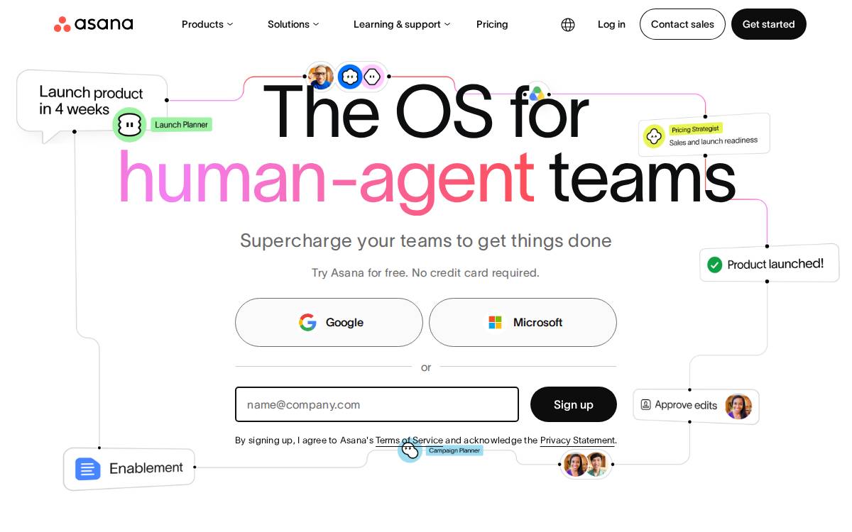 Asana website preview