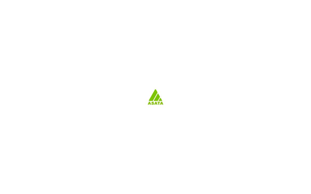 ASATA website preview