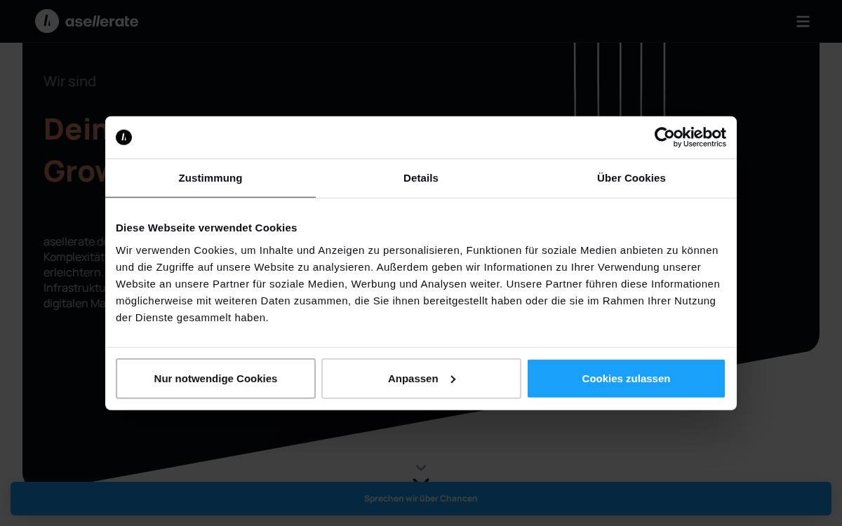 Asellerate website preview