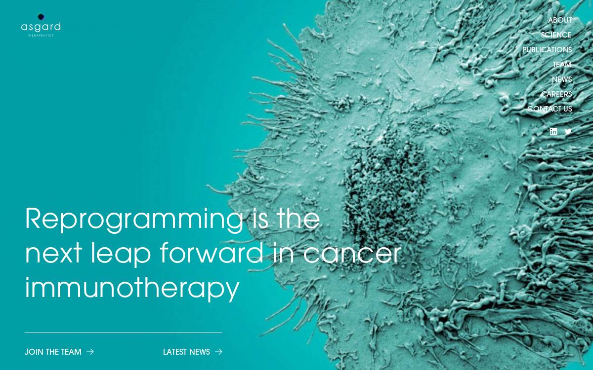 Asgard Therapeutics website preview