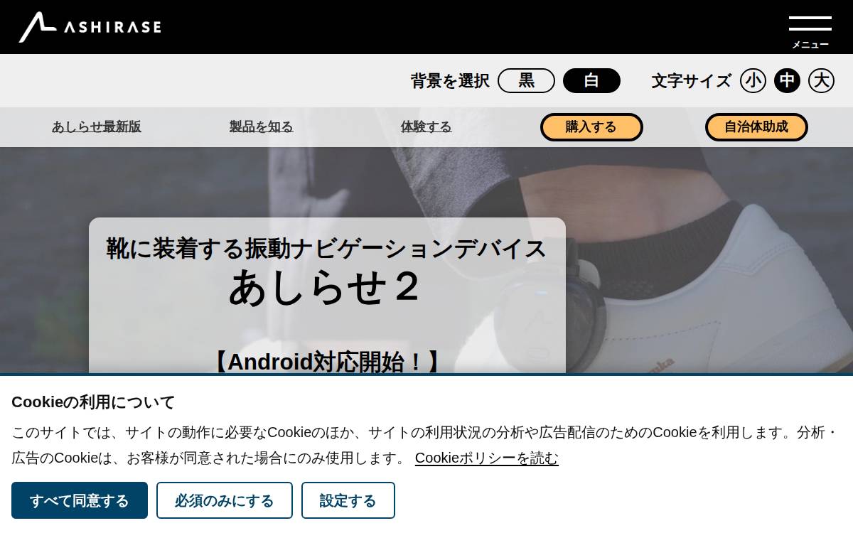 株式会社Ashirase website preview