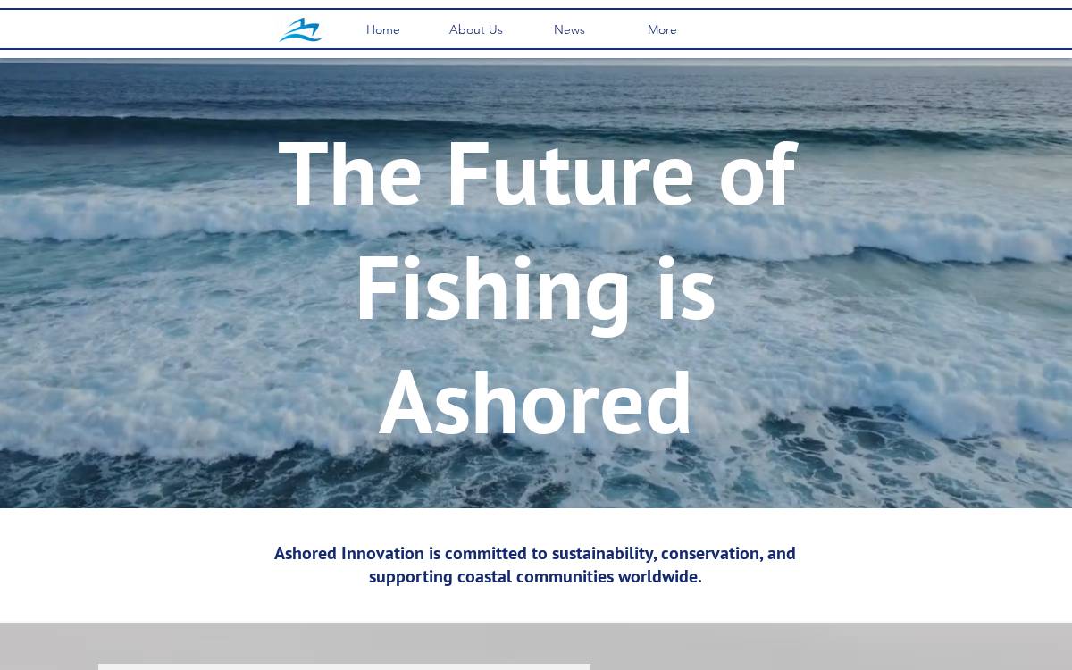 Ashored Inc. website preview