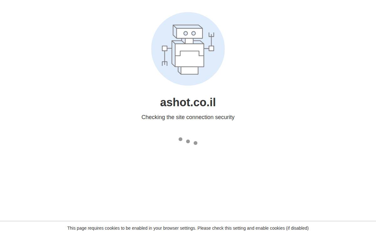 Ashot website preview