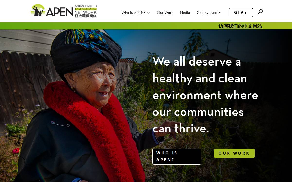 Asian Pacific Environmental Network website preview