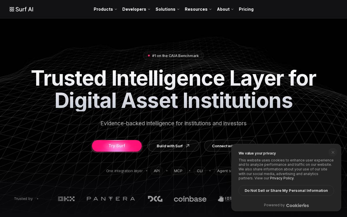 Asksurf website preview