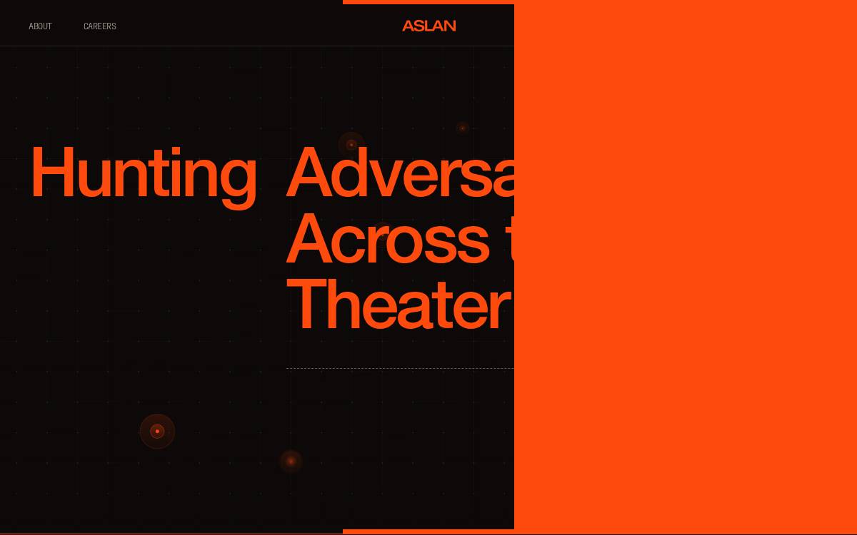 Aslan Protects website preview