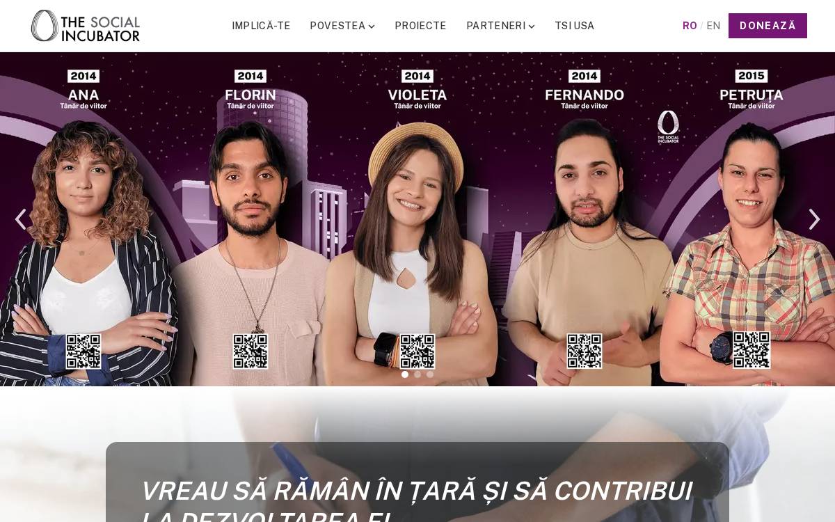 Asociatiasocialincubator website preview