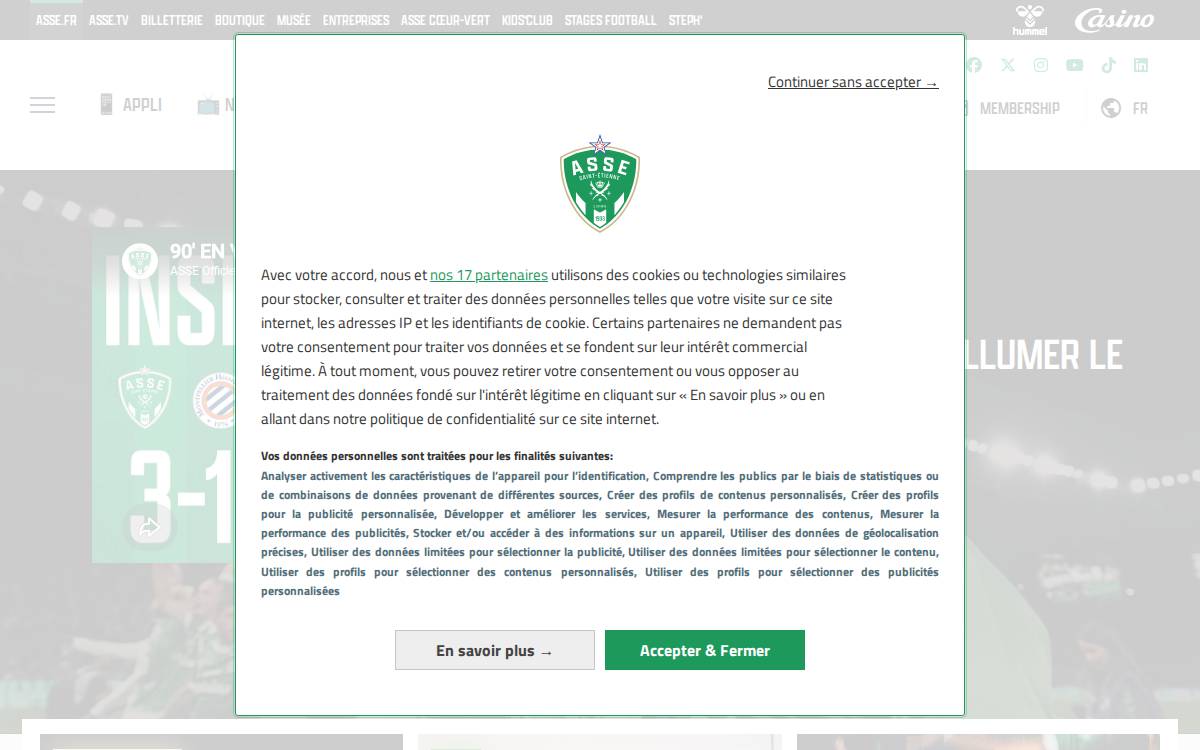 Asse website preview