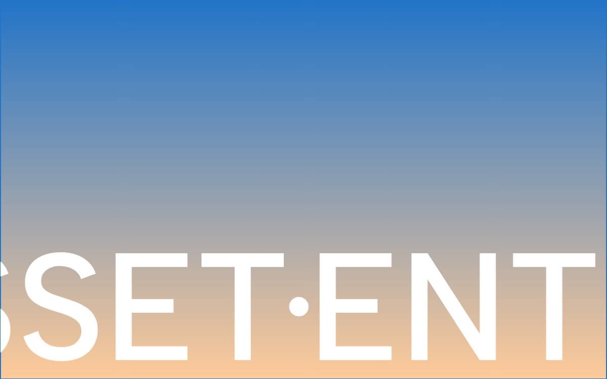 Asset Entities website preview