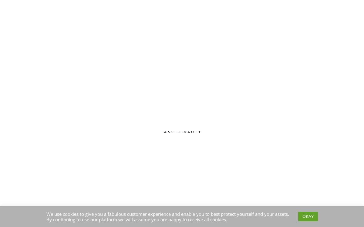AssetVault website preview