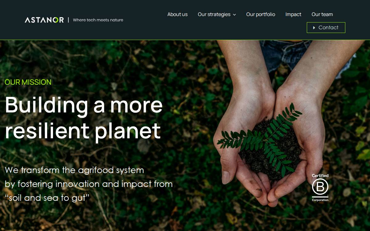 Astanor website preview