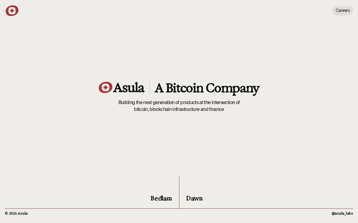 Asula website preview