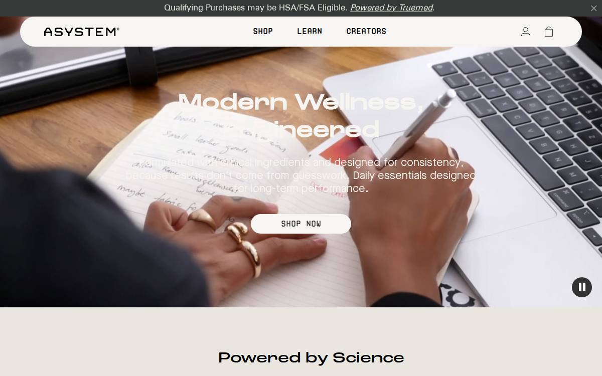 Asystem website preview