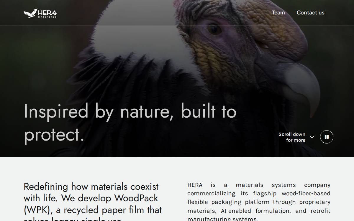 Atacama website preview