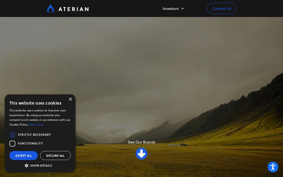 Aterian website preview