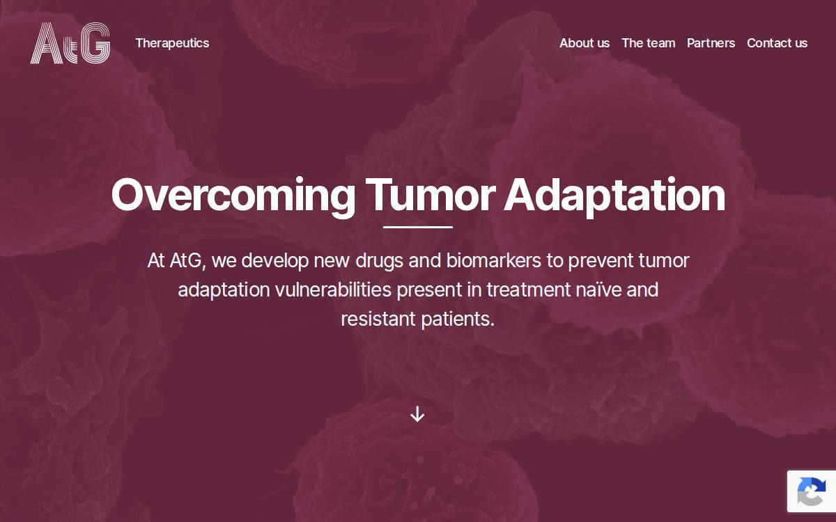 Atgtx website preview