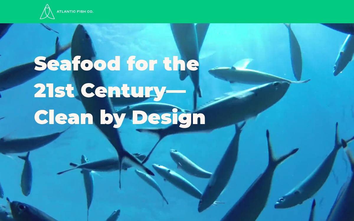 Atlantic Fish website preview