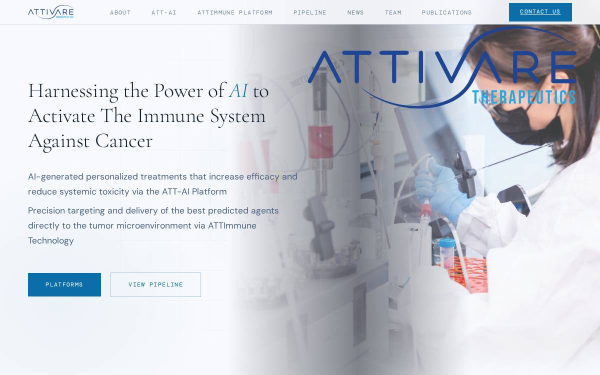 attivare website preview