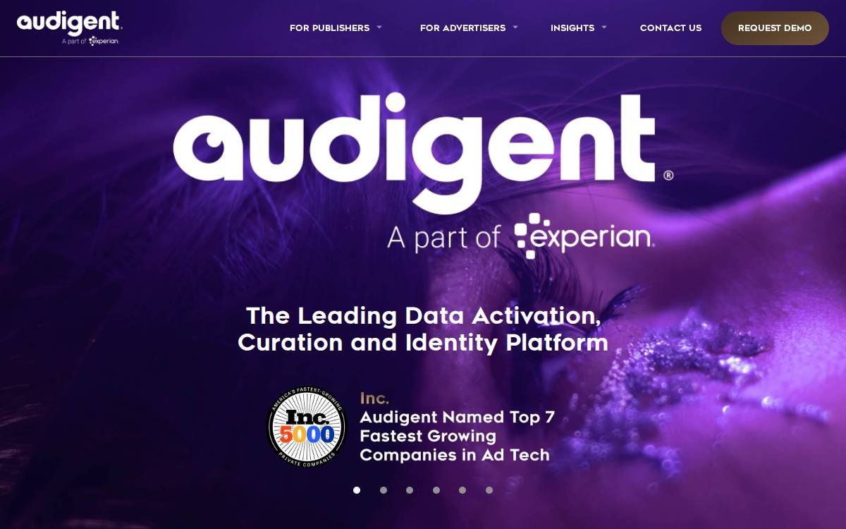 Audigent website preview