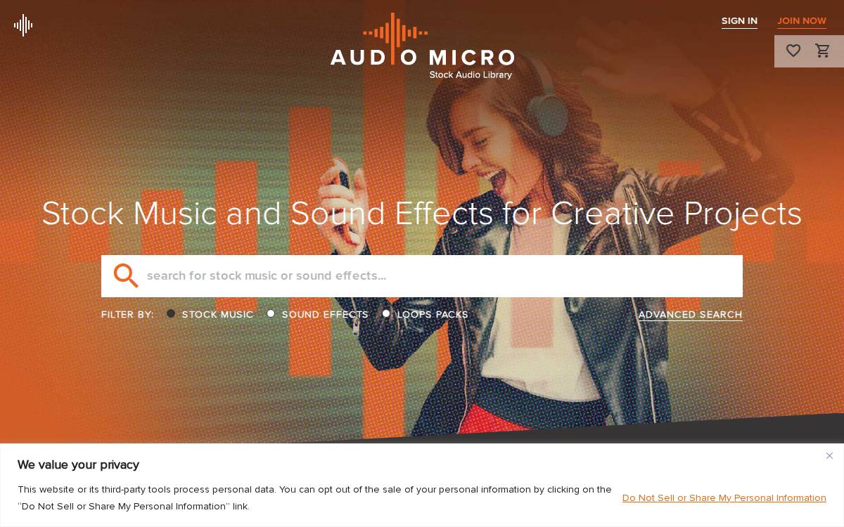 AudioMicro website preview