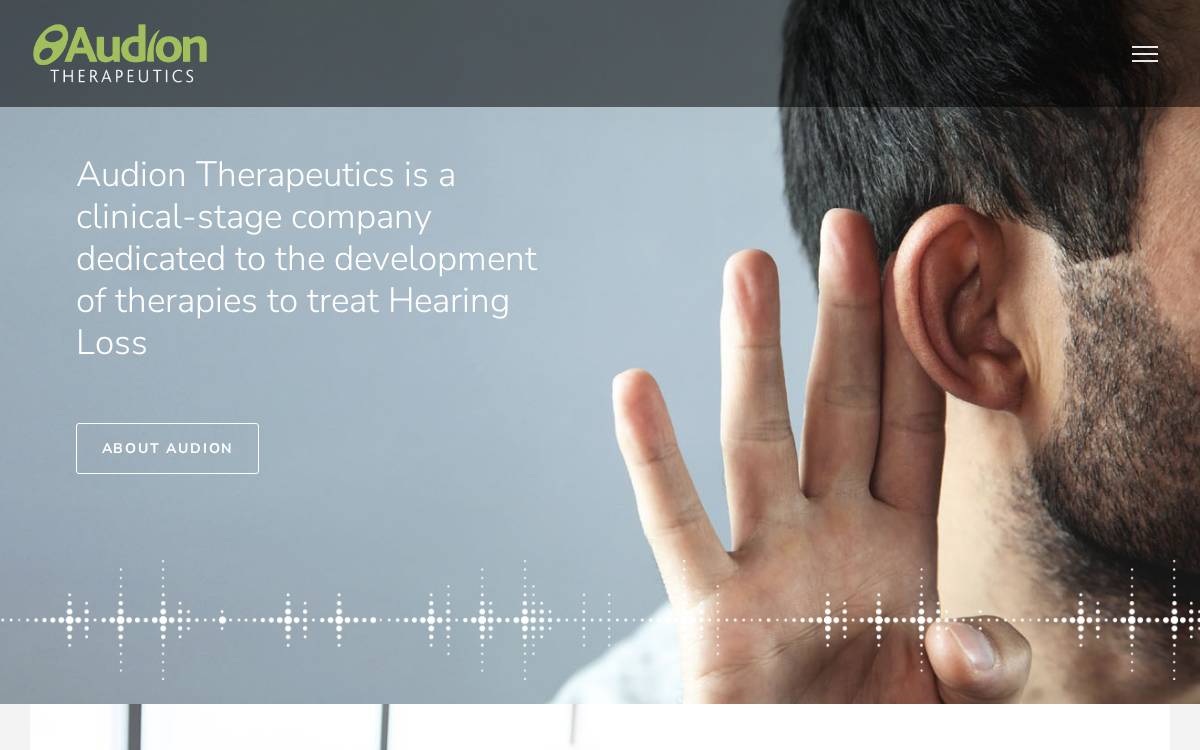 Audiontherapeutics website preview