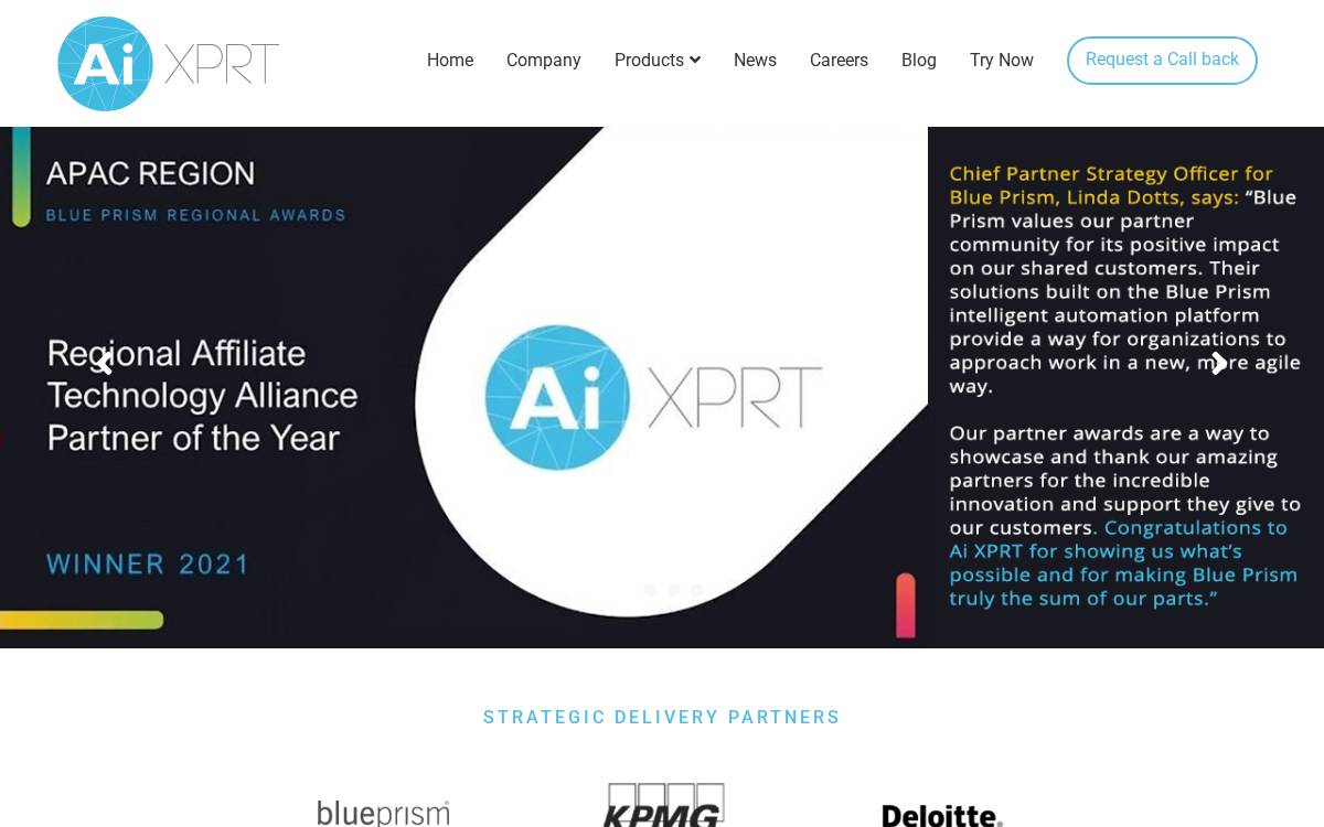 AUDIT XPRT website preview