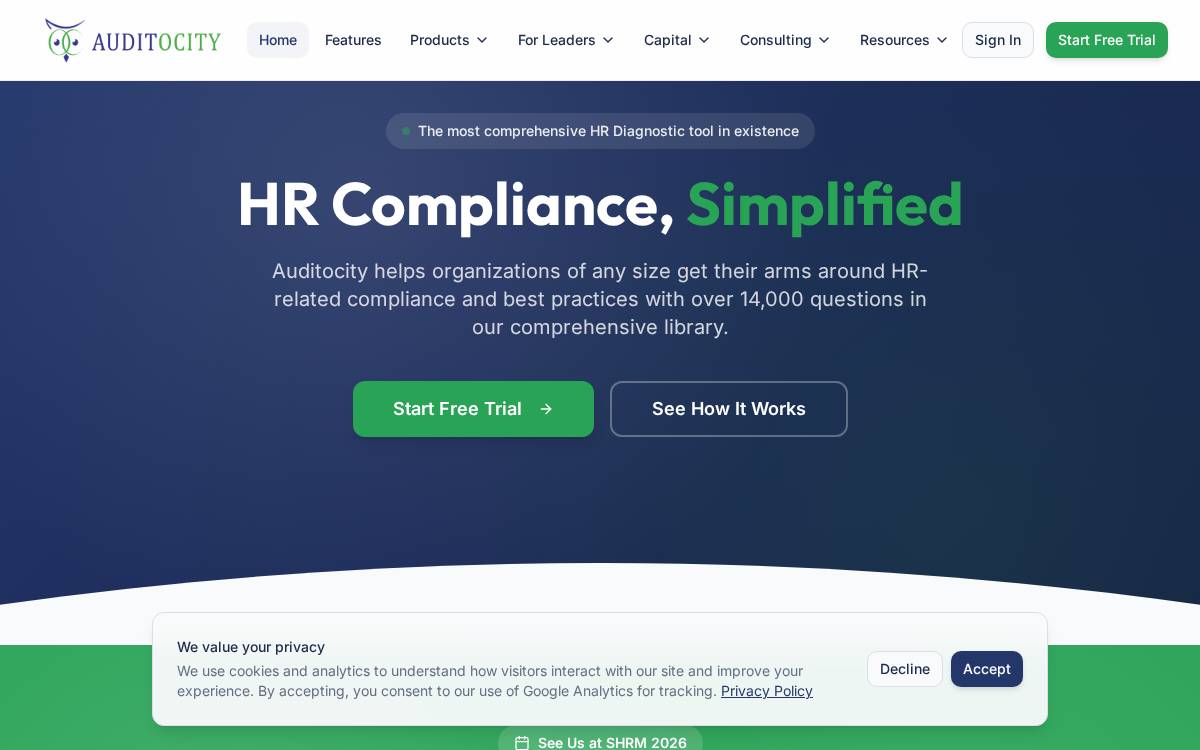 Auditocity website preview