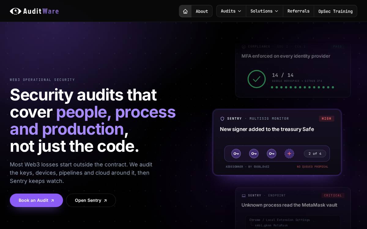 Audit Wizard website preview