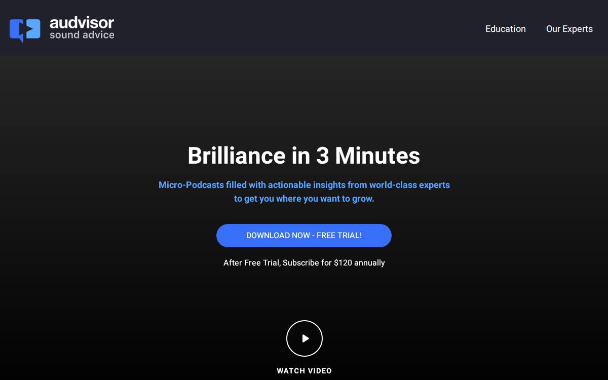 Audvisor website preview