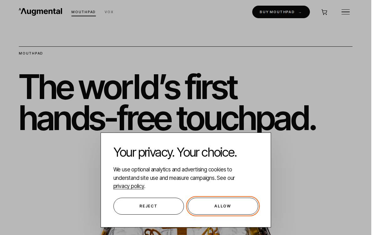 Augmental website preview