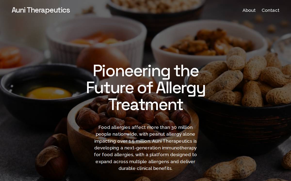 Aunitx website preview
