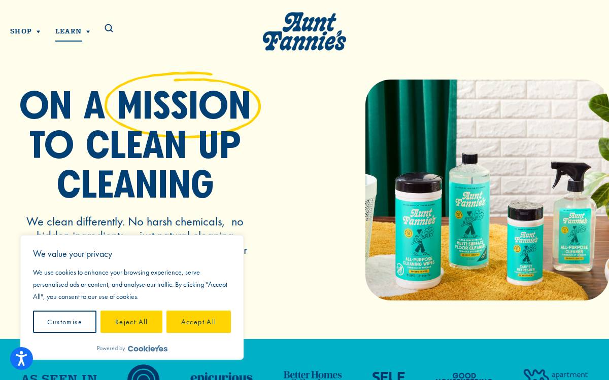 Aunt Fannie website preview