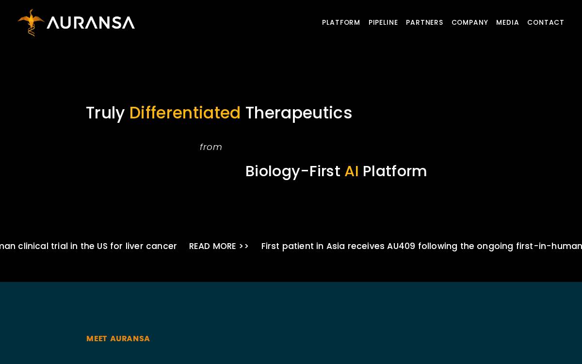 Auransa website preview
