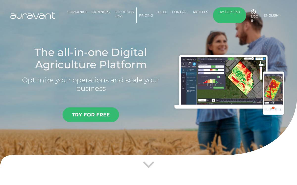 Auravant website preview
