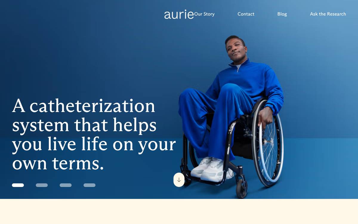 Aurie website preview