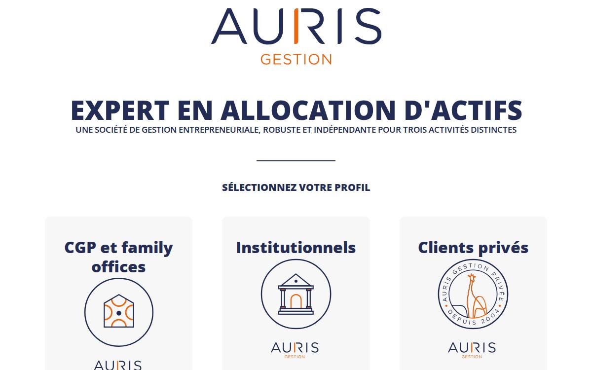 Auris website preview