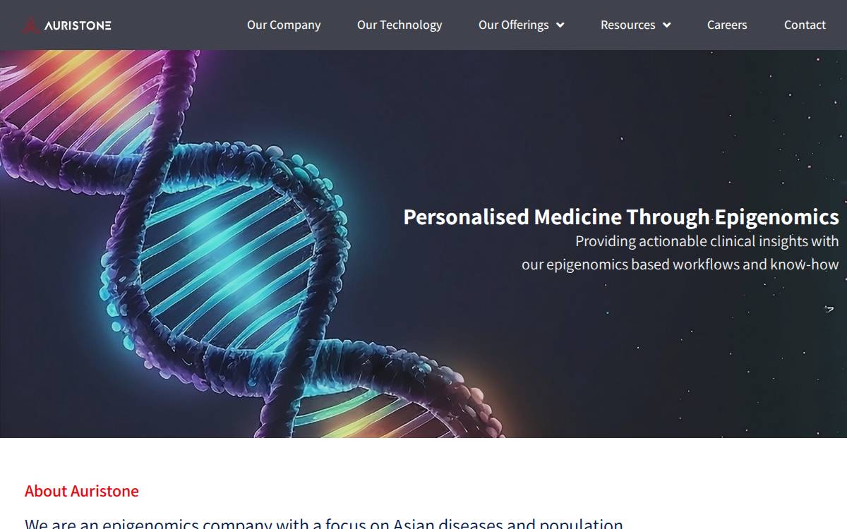 Auristone website preview