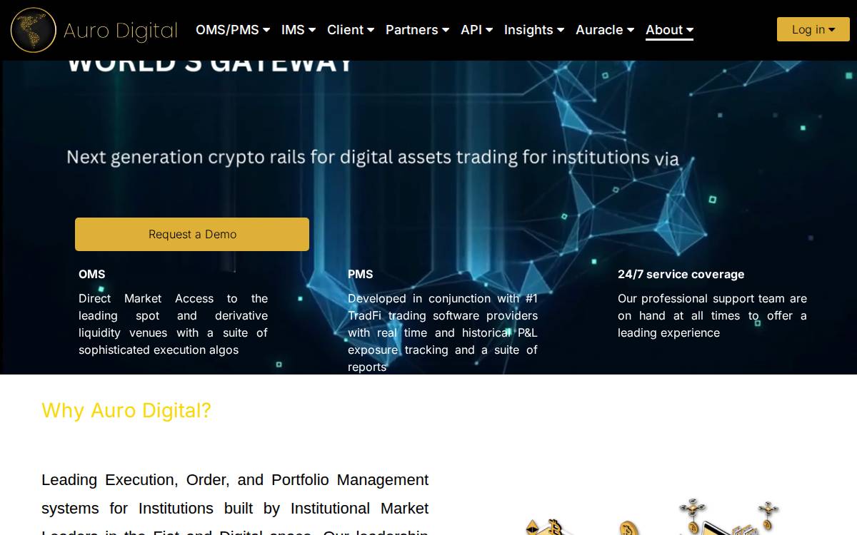 Aurodigital website preview