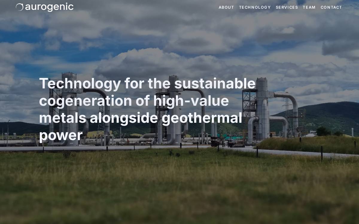 Aurogenic website preview
