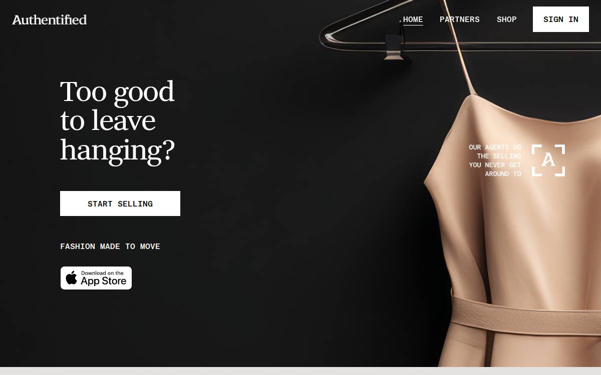 Authentified website preview