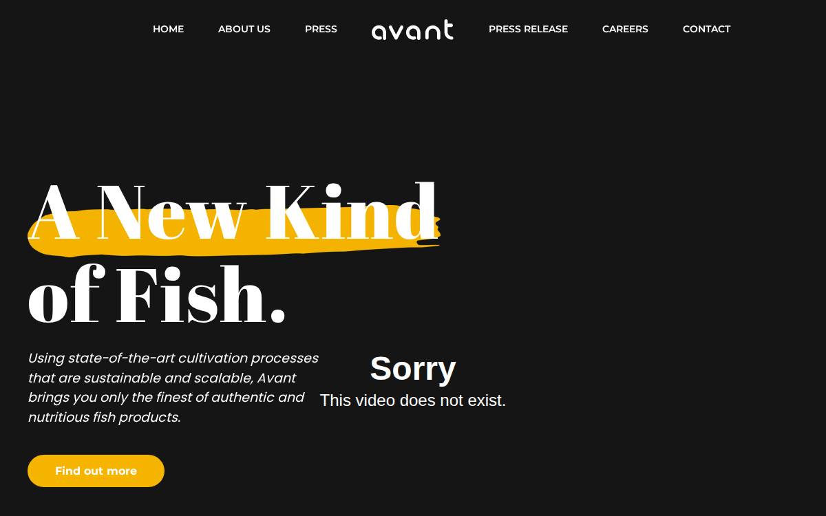 Avant website preview