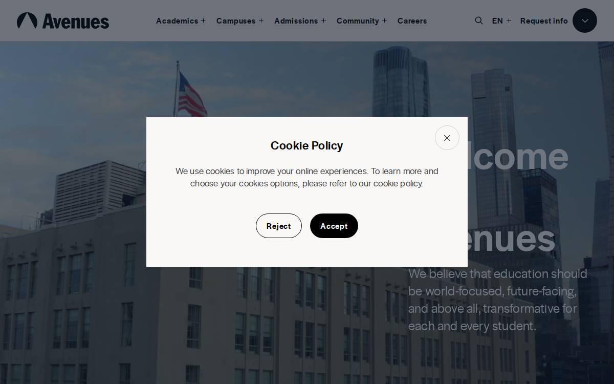 Avenues: The World School website preview