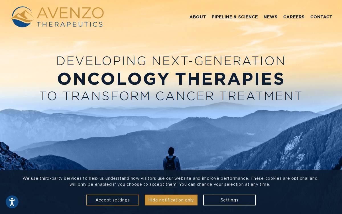 Avenzo website preview