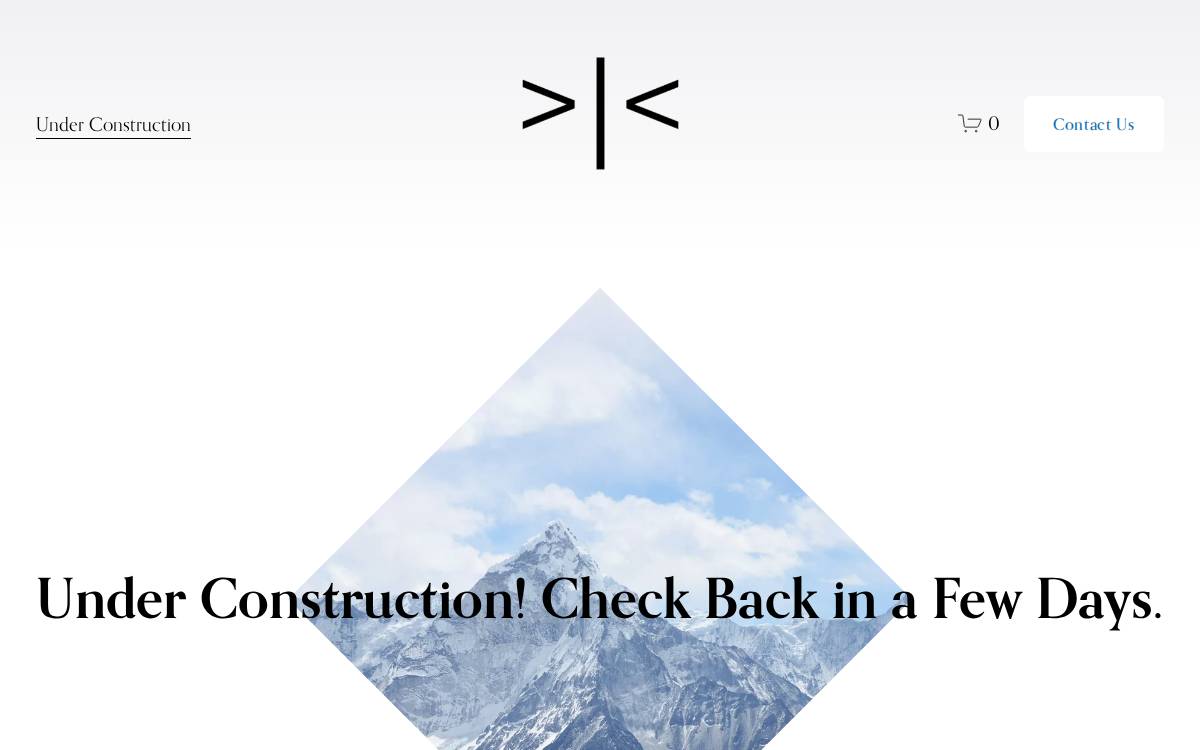Avi Vehicles website preview